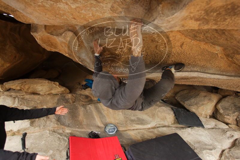 Bouldering in Hueco Tanks on 03/16/2019 with Blue Lizard Climbing and Yoga
Filename: SRM_20190316_1231130.jpg
Aperture: f/3.5
Shutter Speed: 1/500
Body: Canon EOS-1D Mark II
Lens: Canon EF 16-35mm f/2.8 L