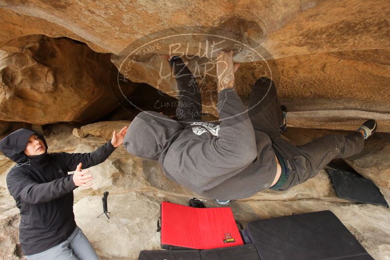 Bouldering in Hueco Tanks on 03/16/2019 with Blue Lizard Climbing and Yoga

Filename: SRM_20190316_1231170.jpg
Aperture: f/4.0
Shutter Speed: 1/500
Body: Canon EOS-1D Mark II
Lens: Canon EF 16-35mm f/2.8 L