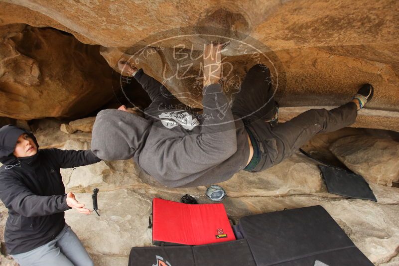Bouldering in Hueco Tanks on 03/16/2019 with Blue Lizard Climbing and Yoga
Filename: SRM_20190316_1231180.jpg
Aperture: f/4.0
Shutter Speed: 1/500
Body: Canon EOS-1D Mark II
Lens: Canon EF 16-35mm f/2.8 L