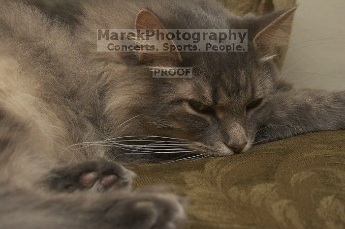 1020409145

Filename: SRM_20051224_234002_7.jpg
Aperture: f/8.0
Shutter Speed: 1/125
Body: Canon EOS 20D
Lens: Canon EF-S 18-55mm f/3.5-5.6