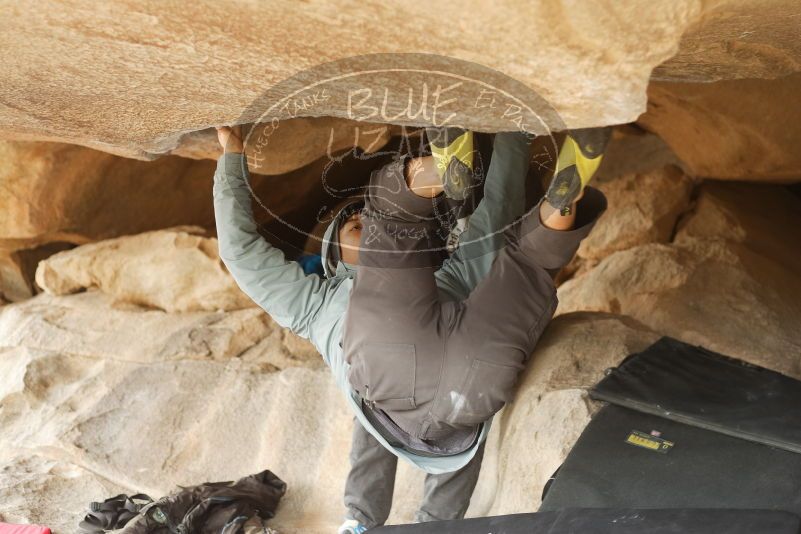 Bouldering in Hueco Tanks on 03/16/2019 with Blue Lizard Climbing and Yoga

Filename: SRM_20190316_1251460.jpg
Aperture: f/2.8
Shutter Speed: 1/160
Body: Canon EOS-1D Mark II
Lens: Canon EF 50mm f/1.8 II