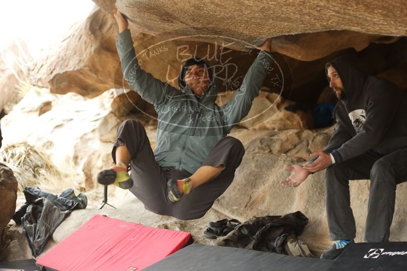 Bouldering in Hueco Tanks on 03/16/2019 with Blue Lizard Climbing and Yoga
Filename: SRM_20190316_1251551.jpg
Aperture: f/2.8
Shutter Speed: 1/320
Body: Canon EOS-1D Mark II
Lens: Canon EF 50mm f/1.8 II
