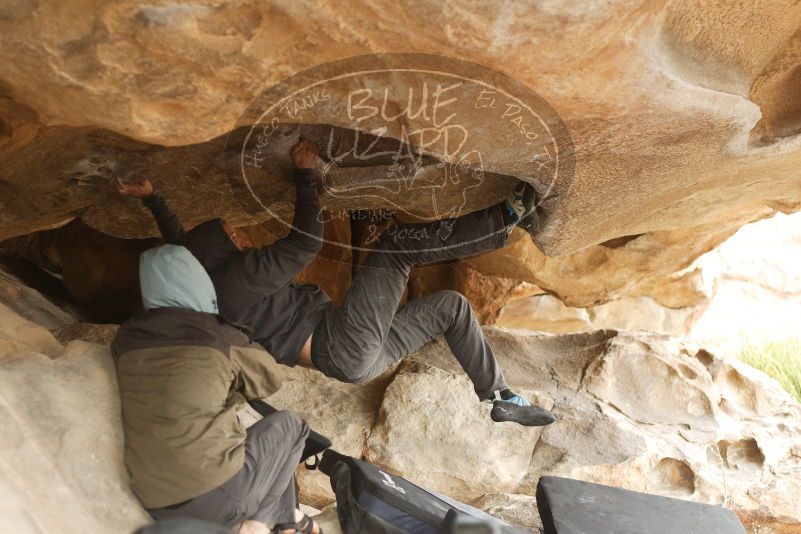 Bouldering in Hueco Tanks on 03/16/2019 with Blue Lizard Climbing and Yoga
Filename: SRM_20190316_1301220.jpg
Aperture: f/2.8
Shutter Speed: 1/250
Body: Canon EOS-1D Mark II
Lens: Canon EF 50mm f/1.8 II
