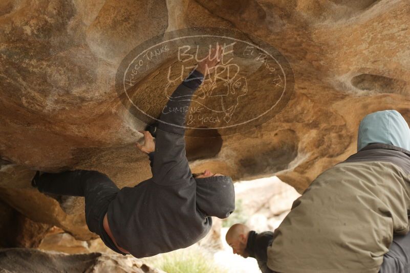 Bouldering in Hueco Tanks on 03/16/2019 with Blue Lizard Climbing and Yoga
Filename: SRM_20190316_1301400.jpg
Aperture: f/3.5
Shutter Speed: 1/320
Body: Canon EOS-1D Mark II
Lens: Canon EF 50mm f/1.8 II