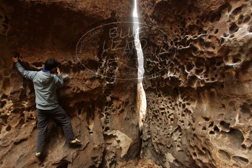 Bouldering in Hueco Tanks on 03/16/2019 with Blue Lizard Climbing and Yoga
Filename: SRM_20190316_1401350.jpg
Aperture: f/4.0
Shutter Speed: 1/60
Body: Canon EOS-1D Mark II
Lens: Canon EF 16-35mm f/2.8 L
