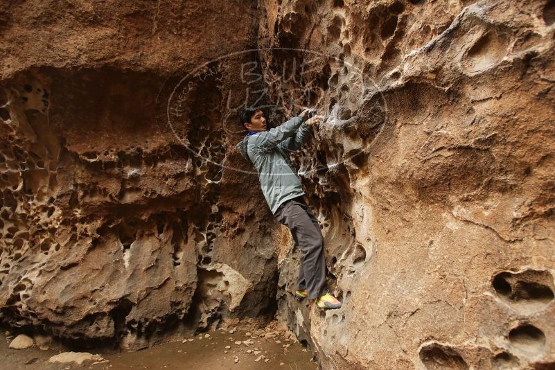 Bouldering in Hueco Tanks on 03/16/2019 with Blue Lizard Climbing and Yoga

Filename: SRM_20190316_1401550.jpg
Aperture: f/4.0
Shutter Speed: 1/60
Body: Canon EOS-1D Mark II
Lens: Canon EF 16-35mm f/2.8 L
