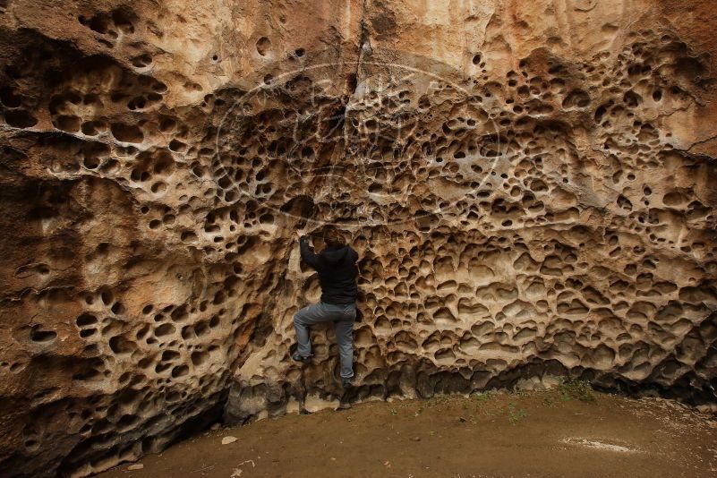 Bouldering in Hueco Tanks on 03/16/2019 with Blue Lizard Climbing and Yoga

Filename: SRM_20190316_1404500.jpg
Aperture: f/7.1
Shutter Speed: 1/60
Body: Canon EOS-1D Mark II
Lens: Canon EF 16-35mm f/2.8 L