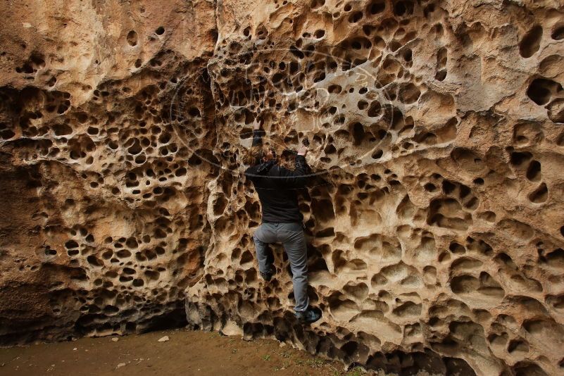 Bouldering in Hueco Tanks on 03/16/2019 with Blue Lizard Climbing and Yoga

Filename: SRM_20190316_1405140.jpg
Aperture: f/6.3
Shutter Speed: 1/60
Body: Canon EOS-1D Mark II
Lens: Canon EF 16-35mm f/2.8 L