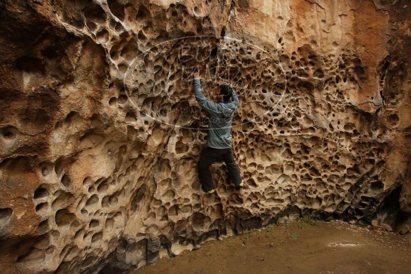 Bouldering in Hueco Tanks on 03/16/2019 with Blue Lizard Climbing and Yoga

Filename: SRM_20190316_1406220.jpg
Aperture: f/7.1
Shutter Speed: 1/60
Body: Canon EOS-1D Mark II
Lens: Canon EF 16-35mm f/2.8 L