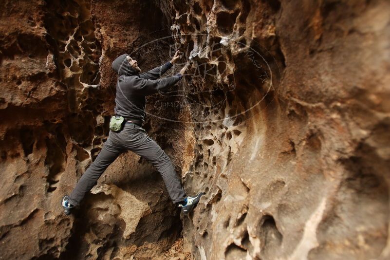 Bouldering in Hueco Tanks on 03/16/2019 with Blue Lizard Climbing and Yoga

Filename: SRM_20190316_1408200.jpg
Aperture: f/2.8
Shutter Speed: 1/80
Body: Canon EOS-1D Mark II
Lens: Canon EF 16-35mm f/2.8 L
