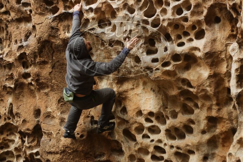 Bouldering in Hueco Tanks on 03/16/2019 with Blue Lizard Climbing and Yoga

Filename: SRM_20190316_1409240.jpg
Aperture: f/2.8
Shutter Speed: 1/125
Body: Canon EOS-1D Mark II
Lens: Canon EF 50mm f/1.8 II