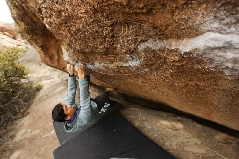Bouldering in Hueco Tanks on 03/16/2019 with Blue Lizard Climbing and Yoga

Filename: SRM_20190316_1500120.jpg
Aperture: f/5.6
Shutter Speed: 1/250
Body: Canon EOS-1D Mark II
Lens: Canon EF 16-35mm f/2.8 L