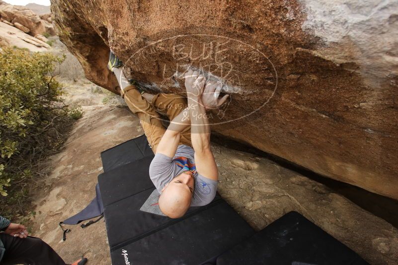 Bouldering in Hueco Tanks on 03/16/2019 with Blue Lizard Climbing and Yoga

Filename: SRM_20190316_1514080.jpg
Aperture: f/5.6
Shutter Speed: 1/400
Body: Canon EOS-1D Mark II
Lens: Canon EF 16-35mm f/2.8 L