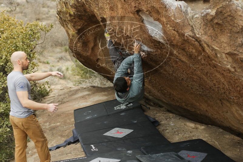 Bouldering in Hueco Tanks on 03/16/2019 with Blue Lizard Climbing and Yoga
Filename: SRM_20190316_1526120.jpg
Aperture: f/2.8
Shutter Speed: 1/400
Body: Canon EOS-1D Mark II
Lens: Canon EF 50mm f/1.8 II