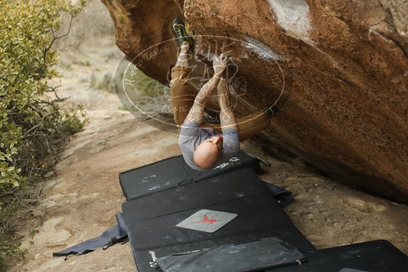 Bouldering in Hueco Tanks on 03/16/2019 with Blue Lizard Climbing and Yoga

Filename: SRM_20190316_1535180.jpg
Aperture: f/2.8
Shutter Speed: 1/500
Body: Canon EOS-1D Mark II
Lens: Canon EF 50mm f/1.8 II