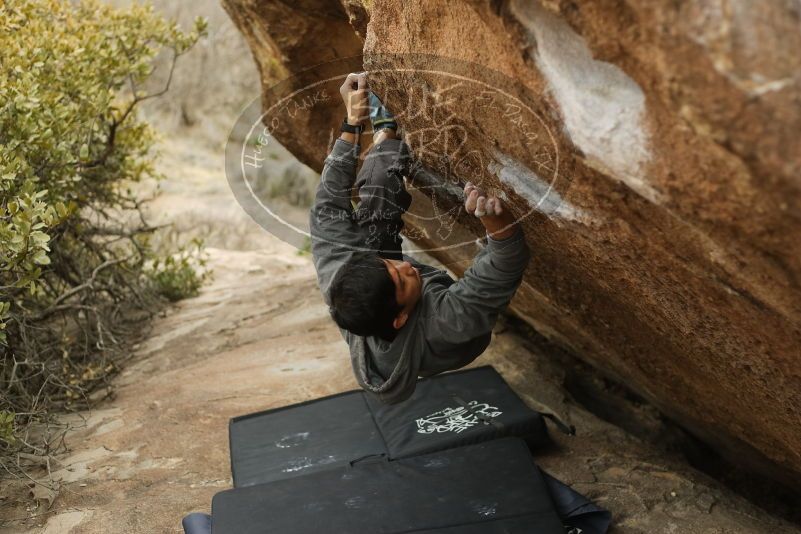 Bouldering in Hueco Tanks on 03/16/2019 with Blue Lizard Climbing and Yoga
Filename: SRM_20190316_1538020.jpg
Aperture: f/2.8
Shutter Speed: 1/400
Body: Canon EOS-1D Mark II
Lens: Canon EF 50mm f/1.8 II