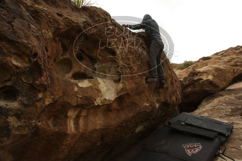 Bouldering in Hueco Tanks on 03/16/2019 with Blue Lizard Climbing and Yoga
Filename: SRM_20190316_1548180.jpg
Aperture: f/5.6
Shutter Speed: 1/1600
Body: Canon EOS-1D Mark II
Lens: Canon EF 16-35mm f/2.8 L