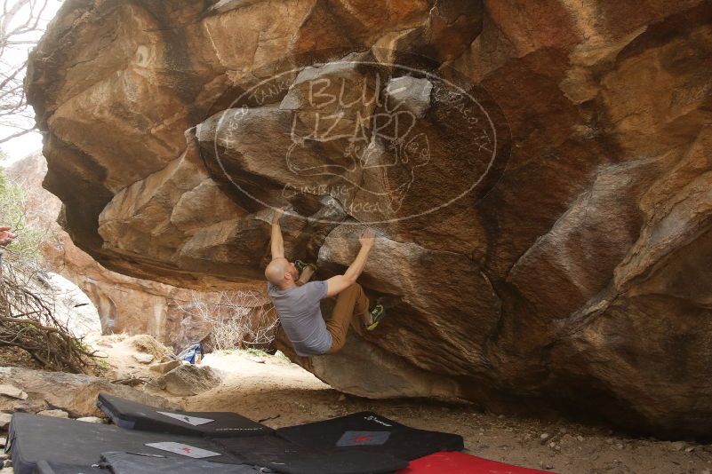 Bouldering in Hueco Tanks on 03/16/2019 with Blue Lizard Climbing and Yoga
Filename: SRM_20190316_1634110.jpg
Aperture: f/5.6
Shutter Speed: 1/125
Body: Canon EOS-1D Mark II
Lens: Canon EF 16-35mm f/2.8 L