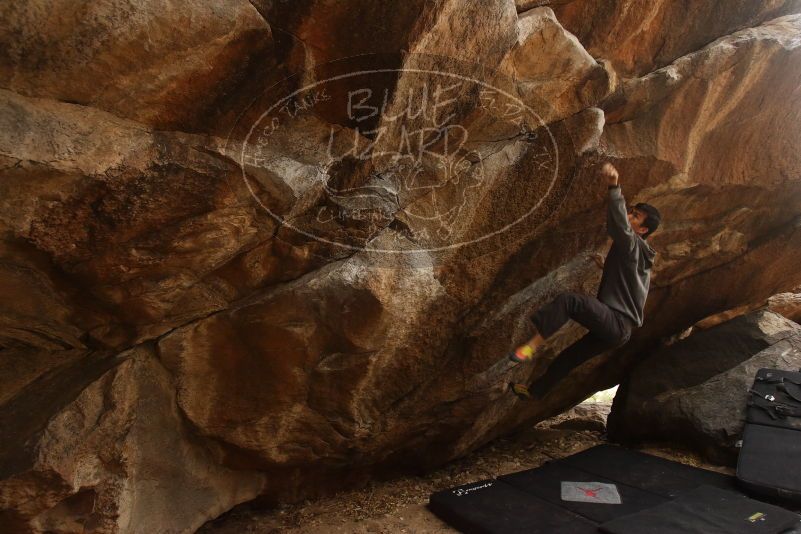 Bouldering in Hueco Tanks on 03/16/2019 with Blue Lizard Climbing and Yoga

Filename: SRM_20190316_1650110.jpg
Aperture: f/5.0
Shutter Speed: 1/200
Body: Canon EOS-1D Mark II
Lens: Canon EF 16-35mm f/2.8 L