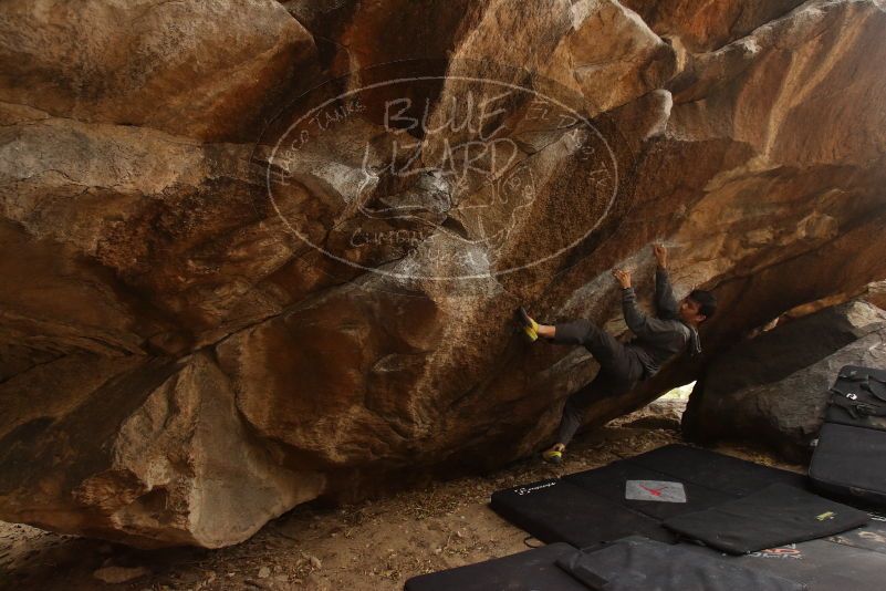 Bouldering in Hueco Tanks on 03/16/2019 with Blue Lizard Climbing and Yoga
Filename: SRM_20190316_1651300.jpg
Aperture: f/5.0
Shutter Speed: 1/200
Body: Canon EOS-1D Mark II
Lens: Canon EF 16-35mm f/2.8 L