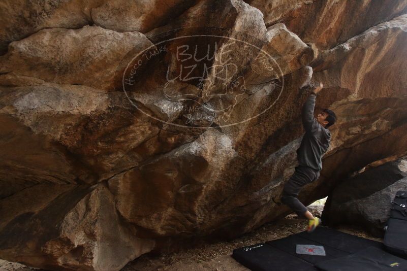 Bouldering in Hueco Tanks on 03/16/2019 with Blue Lizard Climbing and Yoga

Filename: SRM_20190316_1652380.jpg
Aperture: f/5.0
Shutter Speed: 1/200
Body: Canon EOS-1D Mark II
Lens: Canon EF 16-35mm f/2.8 L