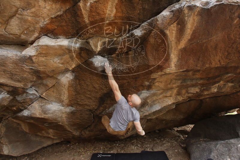 Bouldering in Hueco Tanks on 03/16/2019 with Blue Lizard Climbing and Yoga
Filename: SRM_20190316_1657100.jpg
Aperture: f/5.0
Shutter Speed: 1/160
Body: Canon EOS-1D Mark II
Lens: Canon EF 16-35mm f/2.8 L