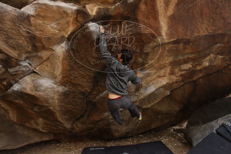 Bouldering in Hueco Tanks on 03/16/2019 with Blue Lizard Climbing and Yoga

Filename: SRM_20190316_1717350.jpg
Aperture: f/5.0
Shutter Speed: 1/200
Body: Canon EOS-1D Mark II
Lens: Canon EF 16-35mm f/2.8 L