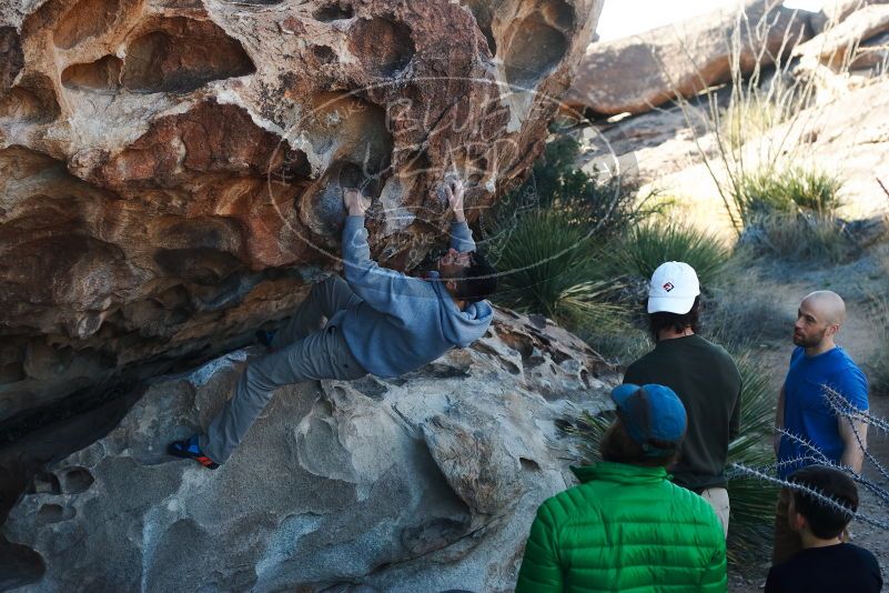 Bouldering in Hueco Tanks on 03/17/2019 with Blue Lizard Climbing and Yoga

Filename: SRM_20190317_0922220.jpg
Aperture: f/4.0
Shutter Speed: 1/320
Body: Canon EOS-1D Mark II
Lens: Canon EF 50mm f/1.8 II