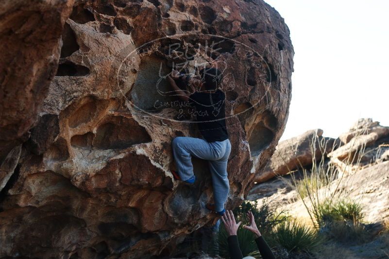 Bouldering in Hueco Tanks on 03/17/2019 with Blue Lizard Climbing and Yoga
Filename: SRM_20190317_0924140.jpg
Aperture: f/4.0
Shutter Speed: 1/500
Body: Canon EOS-1D Mark II
Lens: Canon EF 50mm f/1.8 II