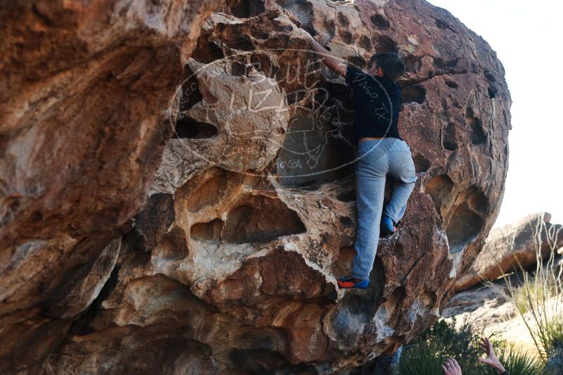 Bouldering in Hueco Tanks on 03/17/2019 with Blue Lizard Climbing and Yoga

Filename: SRM_20190317_0924200.jpg
Aperture: f/4.0
Shutter Speed: 1/400
Body: Canon EOS-1D Mark II
Lens: Canon EF 50mm f/1.8 II