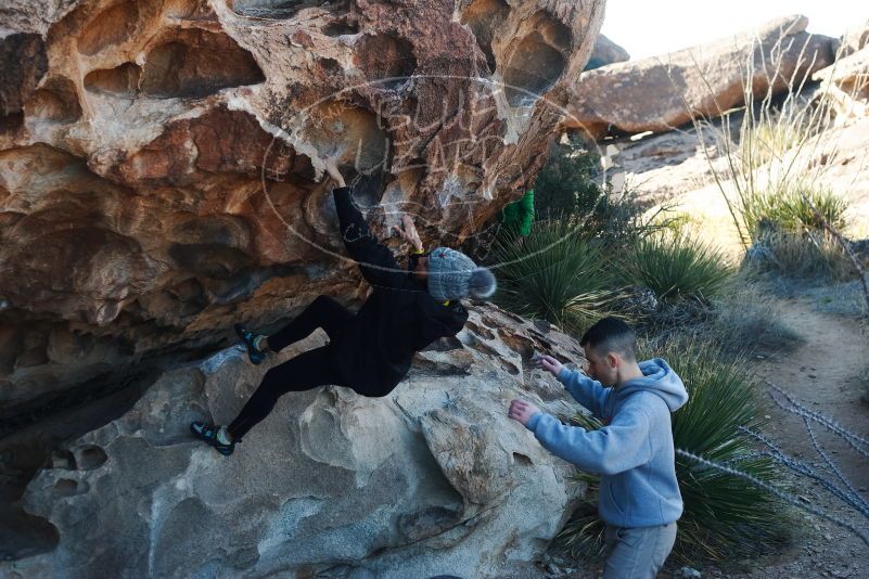 Bouldering in Hueco Tanks on 03/17/2019 with Blue Lizard Climbing and Yoga
Filename: SRM_20190317_0926050.jpg
Aperture: f/4.0
Shutter Speed: 1/320
Body: Canon EOS-1D Mark II
Lens: Canon EF 50mm f/1.8 II