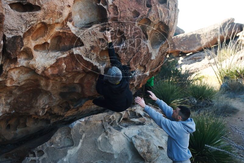 Bouldering in Hueco Tanks on 03/17/2019 with Blue Lizard Climbing and Yoga
Filename: SRM_20190317_0926220.jpg
Aperture: f/4.0
Shutter Speed: 1/320
Body: Canon EOS-1D Mark II
Lens: Canon EF 50mm f/1.8 II