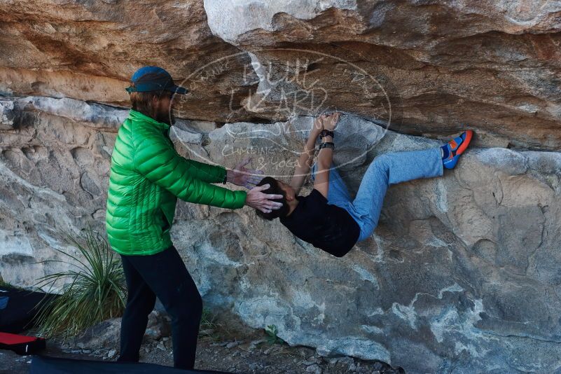 Bouldering in Hueco Tanks on 03/17/2019 with Blue Lizard Climbing and Yoga
Filename: SRM_20190317_0947000.jpg
Aperture: f/4.0
Shutter Speed: 1/200
Body: Canon EOS-1D Mark II
Lens: Canon EF 50mm f/1.8 II