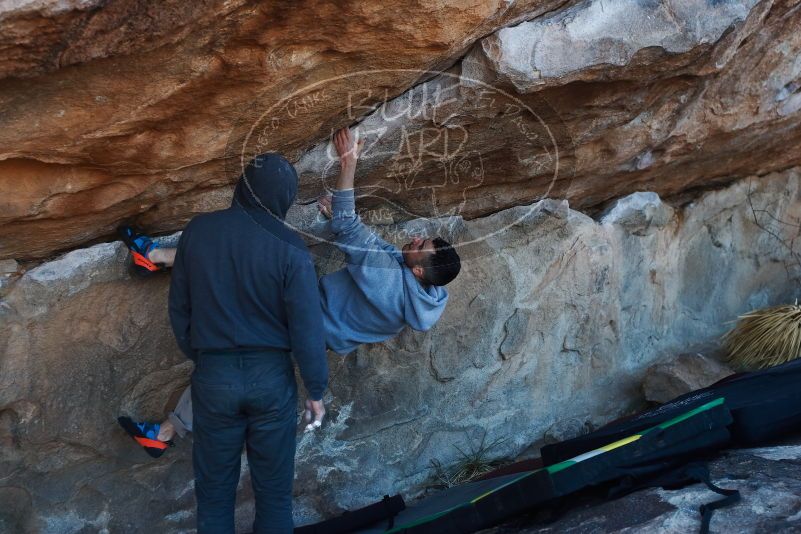 Bouldering in Hueco Tanks on 03/17/2019 with Blue Lizard Climbing and Yoga
Filename: SRM_20190317_1009030.jpg
Aperture: f/4.0
Shutter Speed: 1/250
Body: Canon EOS-1D Mark II
Lens: Canon EF 50mm f/1.8 II