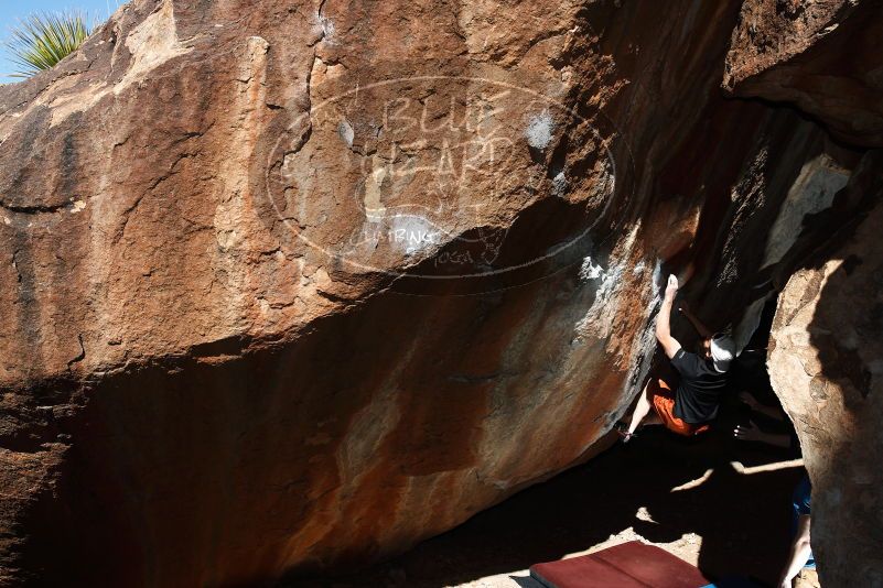 Bouldering in Hueco Tanks on 03/17/2019 with Blue Lizard Climbing and Yoga

Filename: SRM_20190317_1101130.jpg
Aperture: f/5.6
Shutter Speed: 1/250
Body: Canon EOS-1D Mark II
Lens: Canon EF 16-35mm f/2.8 L