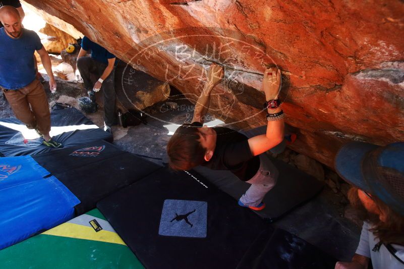 Bouldering in Hueco Tanks on 03/17/2019 with Blue Lizard Climbing and Yoga
Filename: SRM_20190317_1303200.jpg
Aperture: f/5.6
Shutter Speed: 1/160
Body: Canon EOS-1D Mark II
Lens: Canon EF 16-35mm f/2.8 L