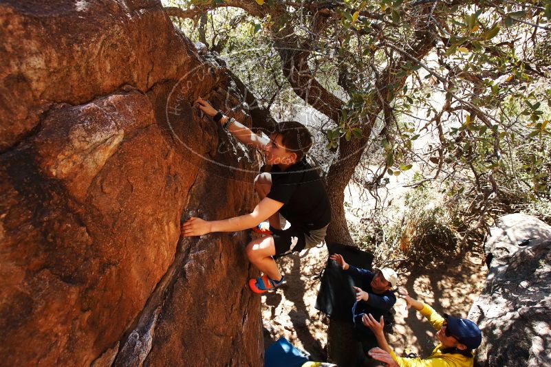 Bouldering in Hueco Tanks on 03/17/2019 with Blue Lizard Climbing and Yoga

Filename: SRM_20190317_1427510.jpg
Aperture: f/5.6
Shutter Speed: 1/400
Body: Canon EOS-1D Mark II
Lens: Canon EF 16-35mm f/2.8 L