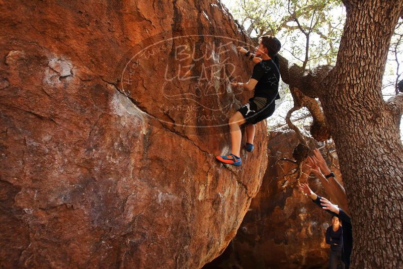 Bouldering in Hueco Tanks on 03/17/2019 with Blue Lizard Climbing and Yoga
Filename: SRM_20190317_1434130.jpg
Aperture: f/5.6
Shutter Speed: 1/250
Body: Canon EOS-1D Mark II
Lens: Canon EF 16-35mm f/2.8 L