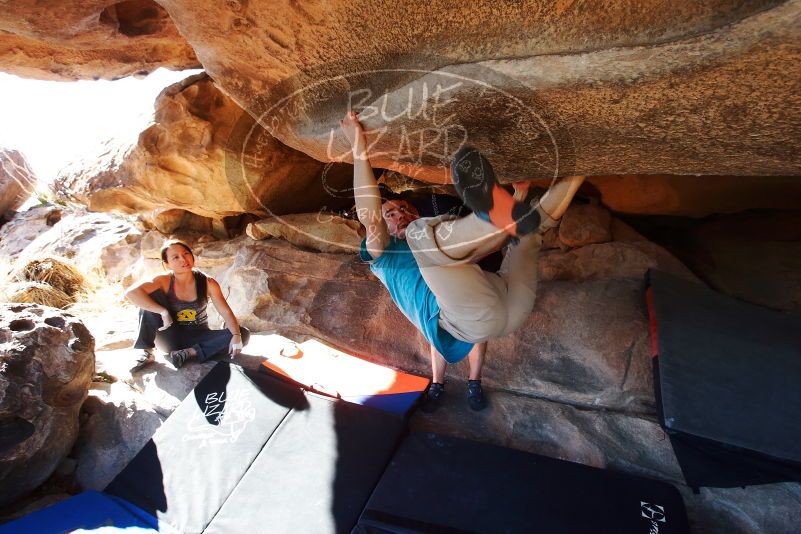 Bouldering in Hueco Tanks on 03/17/2019 with Blue Lizard Climbing and Yoga

Filename: SRM_20190317_1612390.jpg
Aperture: f/5.6
Shutter Speed: 1/250
Body: Canon EOS-1D Mark II
Lens: Canon EF 16-35mm f/2.8 L