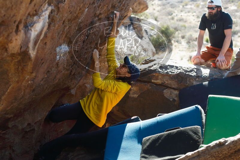 Bouldering in Hueco Tanks on 03/17/2019 with Blue Lizard Climbing and Yoga
Filename: SRM_20190317_1658130.jpg
Aperture: f/4.0
Shutter Speed: 1/320
Body: Canon EOS-1D Mark II
Lens: Canon EF 50mm f/1.8 II