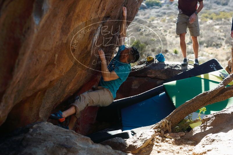 Bouldering in Hueco Tanks on 03/17/2019 with Blue Lizard Climbing and Yoga

Filename: SRM_20190317_1719361.jpg
Aperture: f/4.0
Shutter Speed: 1/250
Body: Canon EOS-1D Mark II
Lens: Canon EF 50mm f/1.8 II