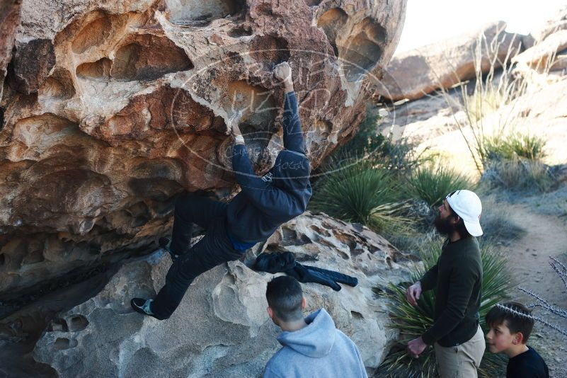 

Filename: SRM_20190317_0921320.jpg
Aperture: f/4.0
Shutter Speed: 1/250
Body: Canon EOS-1D Mark II
Lens: Canon EF 50mm f/1.8 II