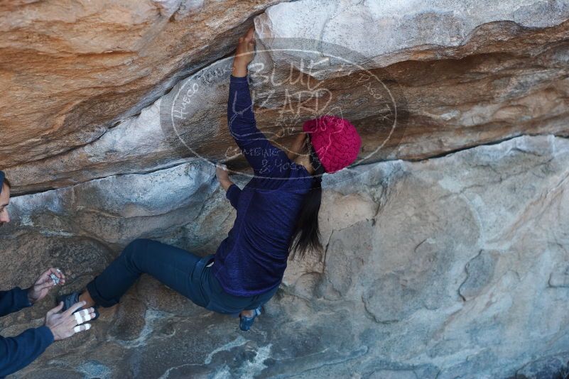 

Filename: SRM_20190317_0944390.jpg
Aperture: f/4.0
Shutter Speed: 1/160
Body: Canon EOS-1D Mark II
Lens: Canon EF 50mm f/1.8 II