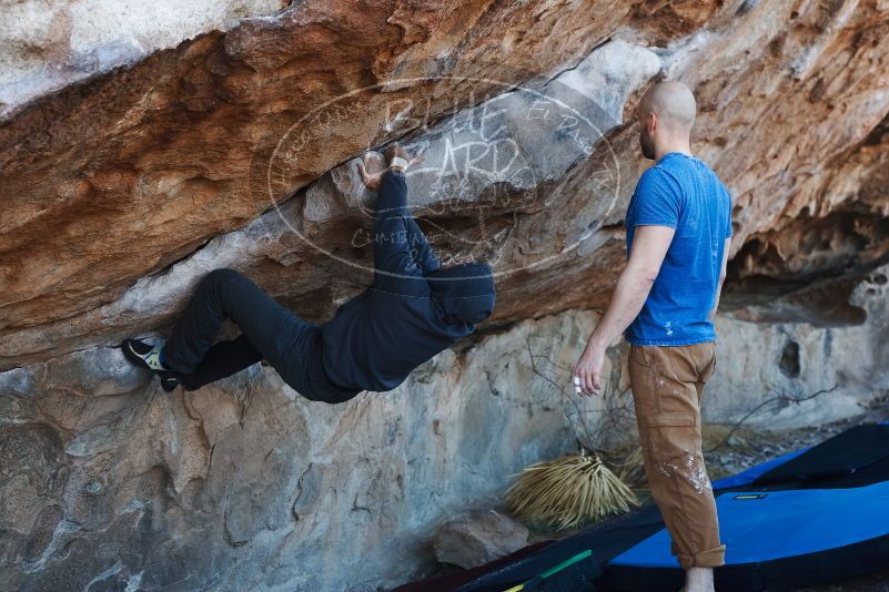 

Filename: SRM_20190317_0955010.jpg
Aperture: f/4.0
Shutter Speed: 1/250
Body: Canon EOS-1D Mark II
Lens: Canon EF 50mm f/1.8 II