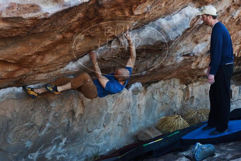 

Filename: SRM_20190317_0959380.jpg
Aperture: f/4.0
Shutter Speed: 1/250
Body: Canon EOS-1D Mark II
Lens: Canon EF 50mm f/1.8 II