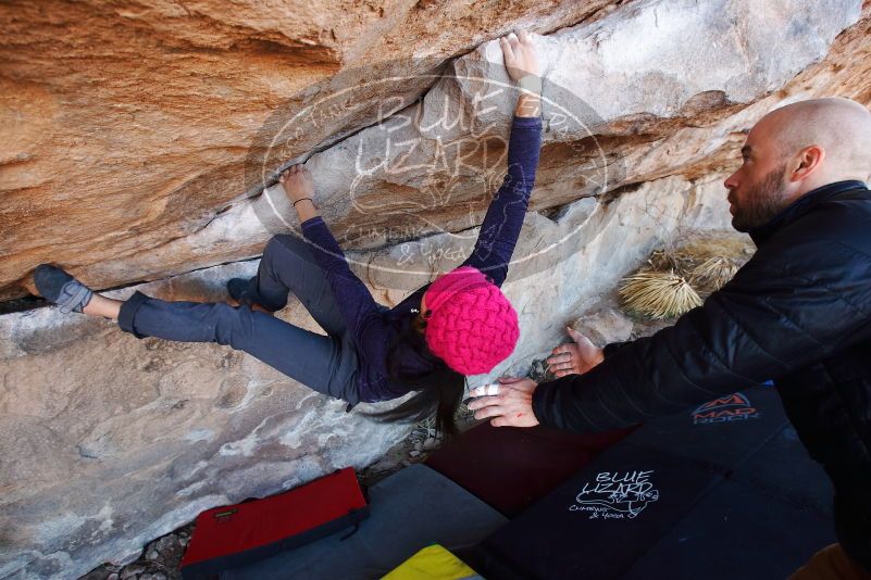 

Filename: SRM_20190317_1032450.jpg
Aperture: f/5.6
Shutter Speed: 1/125
Body: Canon EOS-1D Mark II
Lens: Canon EF 16-35mm f/2.8 L