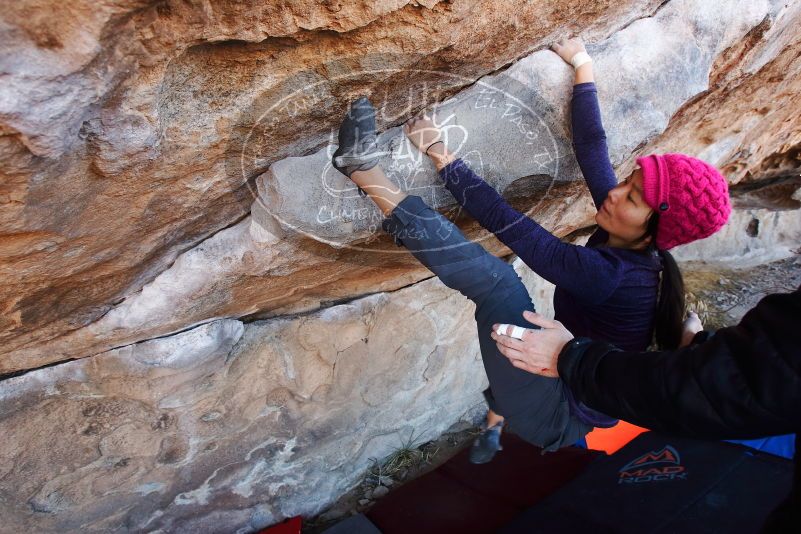 

Filename: SRM_20190317_1032550.jpg
Aperture: f/5.6
Shutter Speed: 1/160
Body: Canon EOS-1D Mark II
Lens: Canon EF 16-35mm f/2.8 L