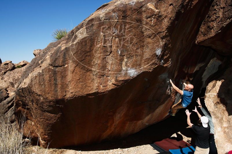 

Filename: SRM_20190317_1110130.jpg
Aperture: f/5.6
Shutter Speed: 1/250
Body: Canon EOS-1D Mark II
Lens: Canon EF 16-35mm f/2.8 L