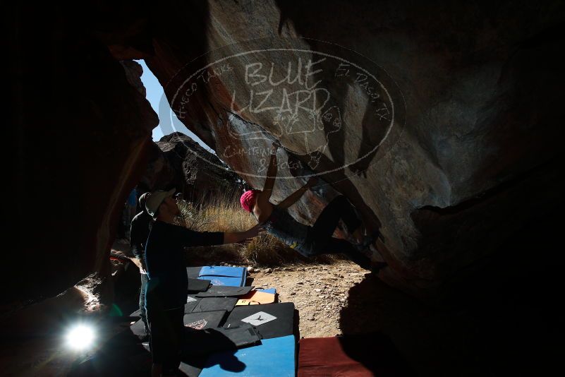 

Filename: SRM_20190317_1128500.jpg
Aperture: f/6.3
Shutter Speed: 1/250
Body: Canon EOS-1D Mark II
Lens: Canon EF 16-35mm f/2.8 L