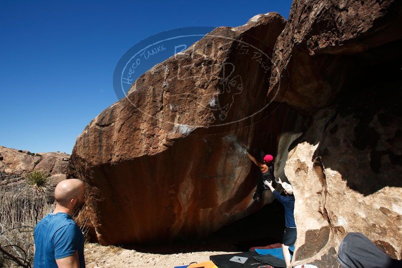 

Filename: SRM_20190317_1140020.jpg
Aperture: f/6.3
Shutter Speed: 1/250
Body: Canon EOS-1D Mark II
Lens: Canon EF 16-35mm f/2.8 L